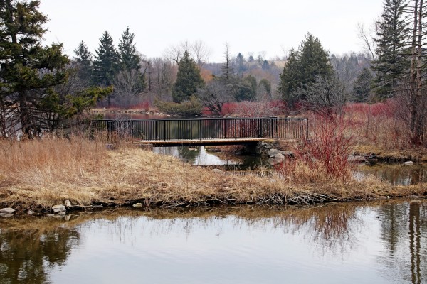 Bridge At York Lands Park by Deb Oppermann
